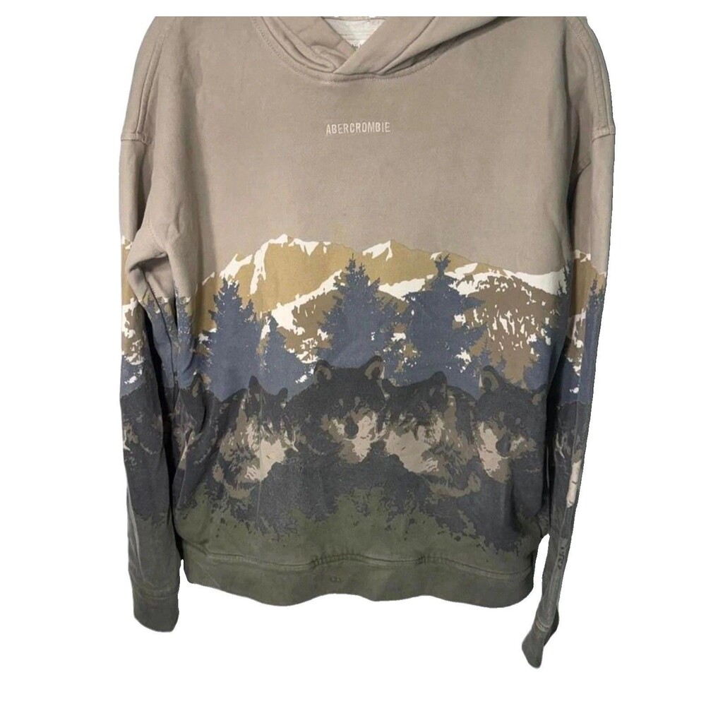 Abercrombie & Fitch Boys Size XL 15/16 Scenic Nature Graphic Hoodie